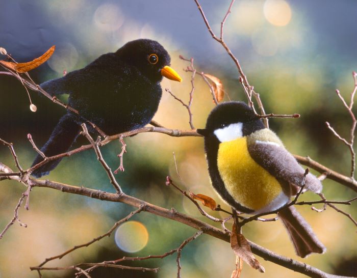 Kösener Plüschtier Kohlmeise Zizi