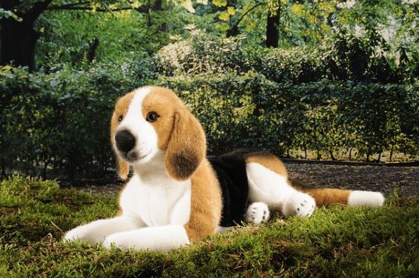 Kösener Plüschtier Beagle liegend 38cm Kösener Spielzeug Manufaktur Gutes aus Deutschland