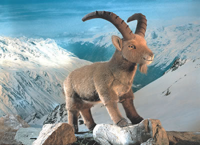 Kösener Plüschtier STEINBOCK Louis