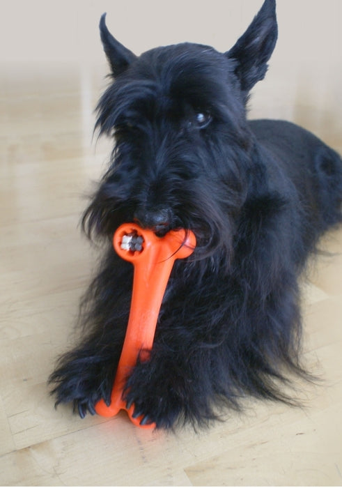 Healthy Toys Hundespielzeug Healthy Bone M, 17cm Healthy Toys Gutes aus Deutschland