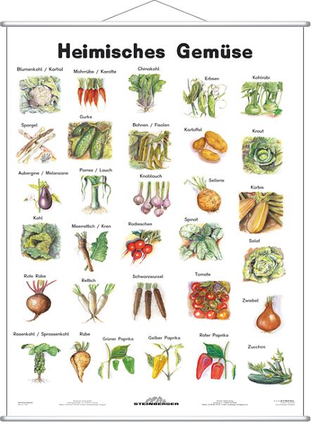 Stiefel LernposterHeimisches Gemüse, mit Metallleiste