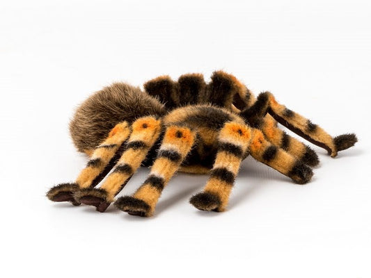 Kösener Plüschtier Rotknie Vogelspinne 22cm