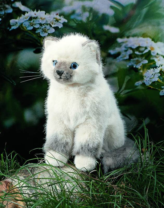Kösener Plüschtier Birma Katze Siri 23cm