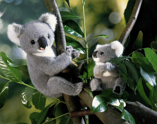 Kösener Plüschtier Koala