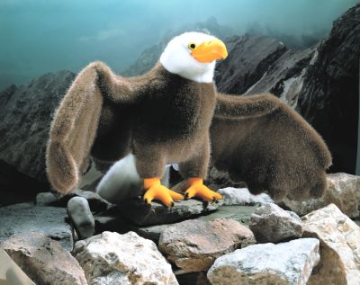 Kösener Plüschtier Weißkopf Seeadler